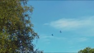 Kopciuszek (2015) Lektor FHD