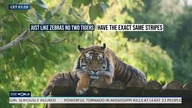TVP World - Moment zmiany czasu z zimowego na letni (noc 25/26. 03. 2023)