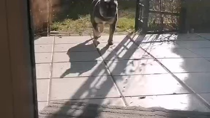 Czyzby ktos sie znecal !?