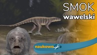 Smok wawelski - triasowy zabójca dicynodontów