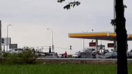 Niecodzienny gość na stacji benzynowej