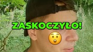 Perełka znaleziona na Urbexie! #shorts