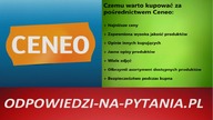 Najlepsze Czajniki Elektryczne - Bezprzewodowe.  Testy oraz Opinie!