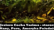 375l - Ameryka Południowa, Peru Cocha Yarima - starorzecze Rio Nany.