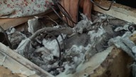 12 krzeseł 1970 lektor pl