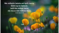 Audycja Wyzwolony Willie Norton