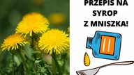 SYROP z MNISZKA LEKARSKIEGO - Przeciwwirusowy i Przeciwzapalny - Sprawdź jak zrobić!