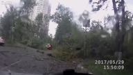 Moskwa: Ogromna nawałnica łamie setki drzew w kilka minut