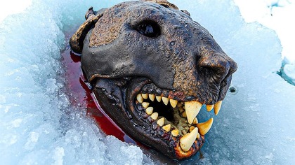 9 PREHISTORYCZNYCH Zwierząt Znalezionych w Lodzie