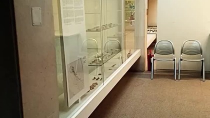 Muzeum Archeologiczne w Zadarze - Prehistoria - Piętro 3 - opowieść o najdawniejszych czasach!