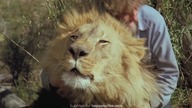 Roar. 1981. 1080p. BluRay. x264. [YTS. AG]