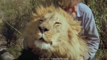 Roar. 1981. 1080p. BluRay. x264. [YTS. AG]