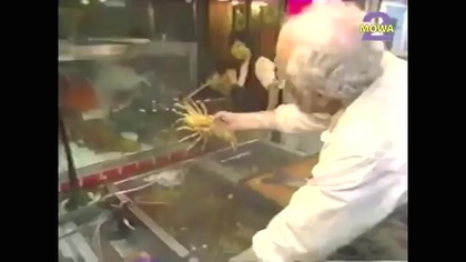 GOTOWANIE NA EKRANIE ODC 1