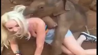Blondynka i mały słoń‬&rlm;