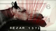 skazani 2009