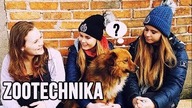 STUDIA ZOOTECHNICZNE /w Mizerka Equine i Julka