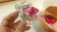 R&oacute;ża z opakowań po jajkach Recykling wytłoczek DIY #shorts #roza #kwiat #jakzrobic#wytloczka