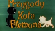 Jak Pies z Kotem