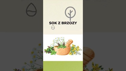 Sok z Brzozy
