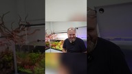Jak opanować twardą wodę?