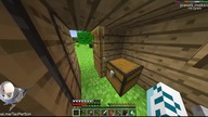 Granie na survival - Minecraftowe Przygody LAJW #3