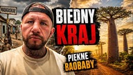 Madagaskar - bardzo biedny kraj z pięknymi Baobabami