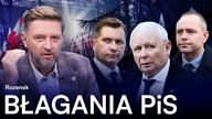 KACZYŃSKI BOI SIĘ WIĘZIENIA.  PREZES PiS WYŚMIANY PRZEZ ROZENKA: OBRZYDLIWE