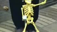 skeleton