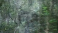 Grom w raju S01E08 Zmiana opiekuna