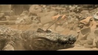 Myśliwi z ruin (2024) Lektor