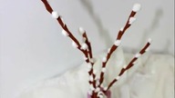 Kwiaty z bibuły #2 BAZIE _ DIY Flowers