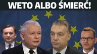 ,,Weto albo śmierć Czy Ziobro szachuje Morawieckim? | D.  Matecki