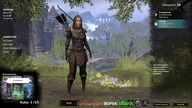 The Elder Scrolls Online STREAM - Bow Build lvling - Gameplay PL