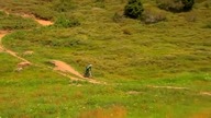 Virtuous - MTB Downhill Freeride DH