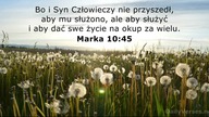 Swiadectwo Mieczysław Suski senior