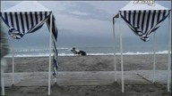 Coco Chanel [2008] - Lektor PL - cz.  2