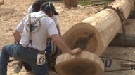  V8 Powered Hot Saw V8 Chainsaw