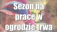 Świdnik: Z roślinami za pan brat (foto)