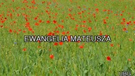 Ewangelia Mateusza (UBG)