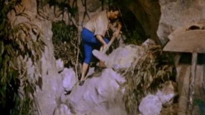 Pierwszy anglojęzyczny film Luisa Buñuela i zarazem jedno z jego najbardziej kasowych dzieł. Adaptacja poczytnej powieści Daniela Defoe. Robinson Crusoe (Dan OHerlihy), mimo protestów swojego ojca, wyrusza na morską wyprawę. Statek, którym płynie ulega katastrofie, a on jedyny uchodzi z życiem. Morze wyrzuca pół przytomnego bohatera na bezludną wyspę. Jedynymi kompanami Robinsona w tej trudnej sytuacji są kot Sam oraz pies Re 