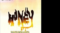 Big Time Rush - Honey (PaulPoland Extended Edition)