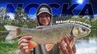579 REKORD WYRÓWNANY! NOCKA NAD ODRĄ - FEEDER BAJKA