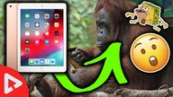 MAŁPY UŻYWAJĄ iPadów!!! - 10 CIEKAWOSTEK  #17