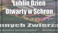 Lublin: Dzień Otwarty w Schronisku dla Bezdomnych Zwierząt w Lublinie