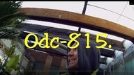 Odc-815. Drugie życie pomidorów,wykopać,przezimować-zbiory wiosna 2020r :)