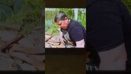 Oj będą przeprosiny za sklejenie wąsów - Jedziemy na ryby #angler #fishing #carpfishing #carp #funny