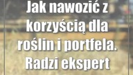 Jak nawozić z korzyścią dla roślin i portfela.  Radzi ekspert