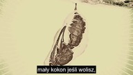 Ukryta historia płaskiej Ziemi tom 2 część 1 - Dwie księgi ludzkości i poszukiwanie kluczy