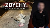 309 godzin pracy miesięcznie.  Były pracownik Ferm Drobiu Woźniak: Zachorowałem tam na depresję