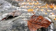 Arnold świadectwo